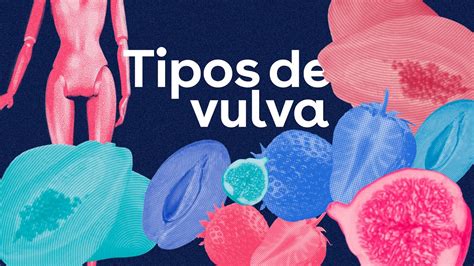 tipos de chochos|Los tipos de vulvas que hay y su anatomía